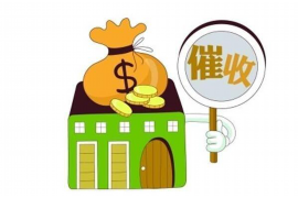 桃城为什么选择专业追讨公司来处理您的债务纠纷？